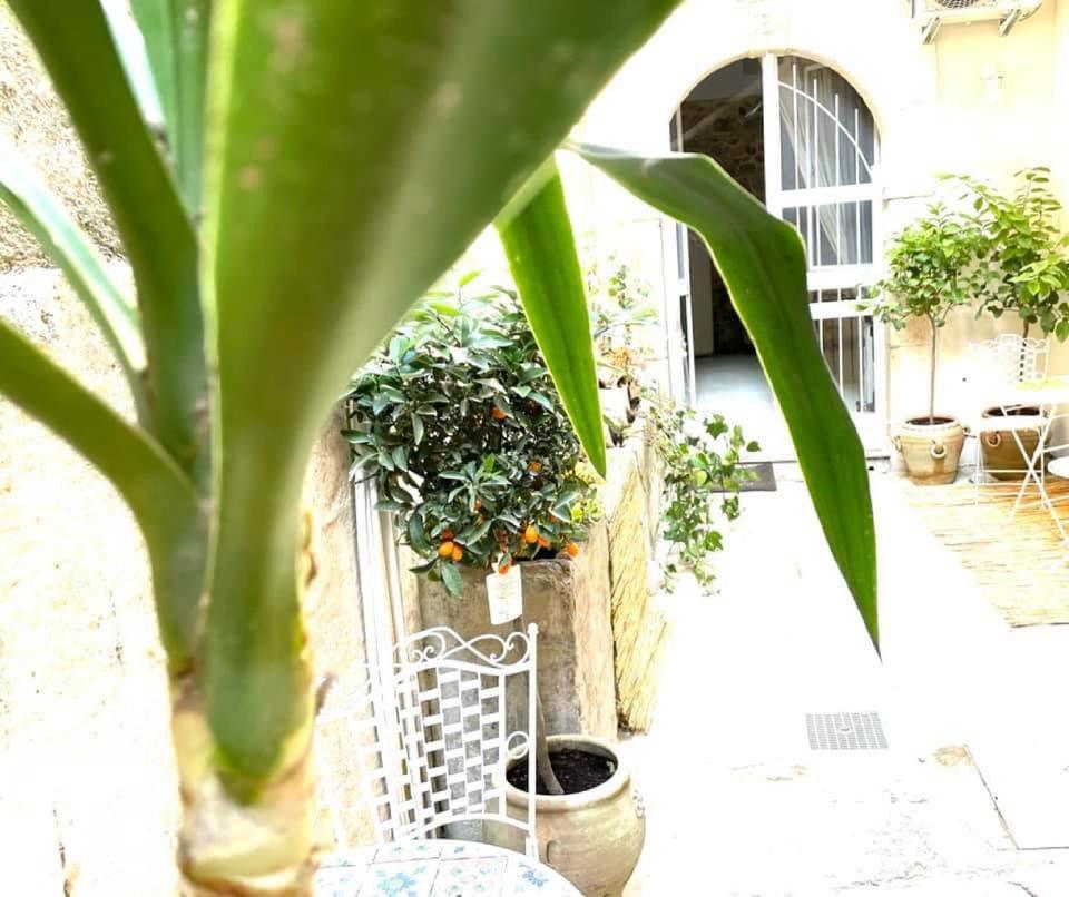 Lemon Ortigia